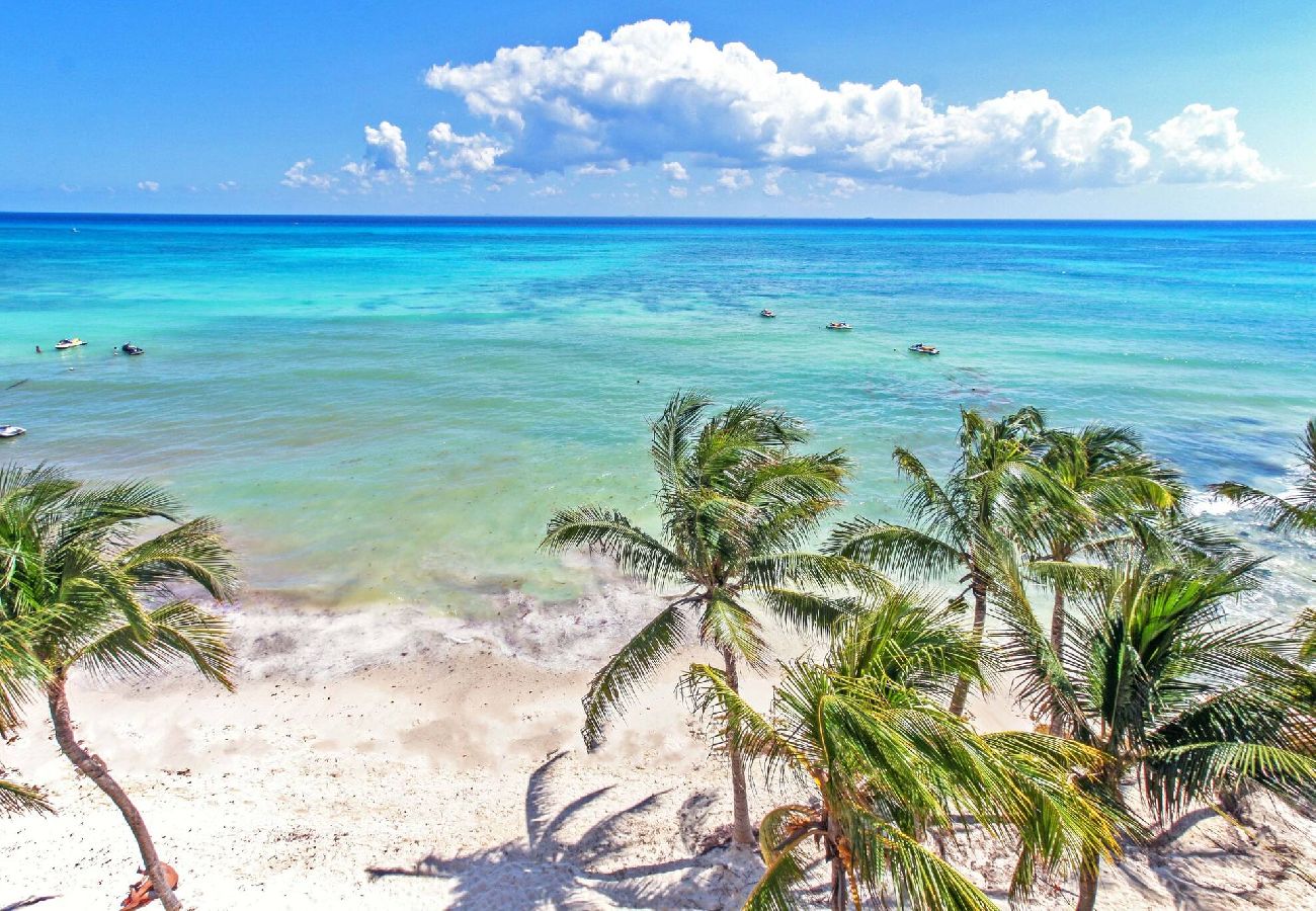 Apartment in Playa del Carmen - Caballito de Mar