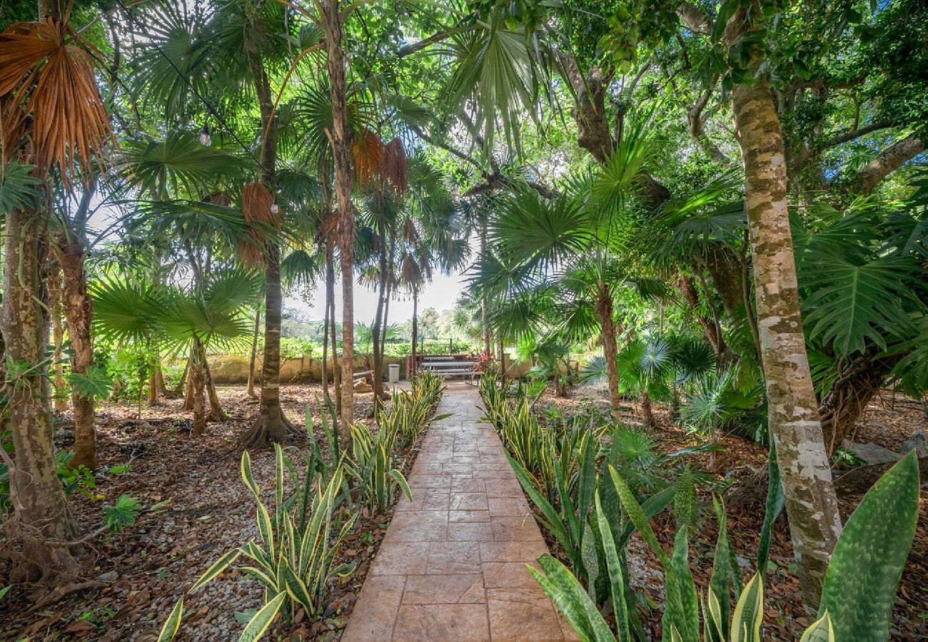 Condominium in Playa del Carmen - Rana Loca