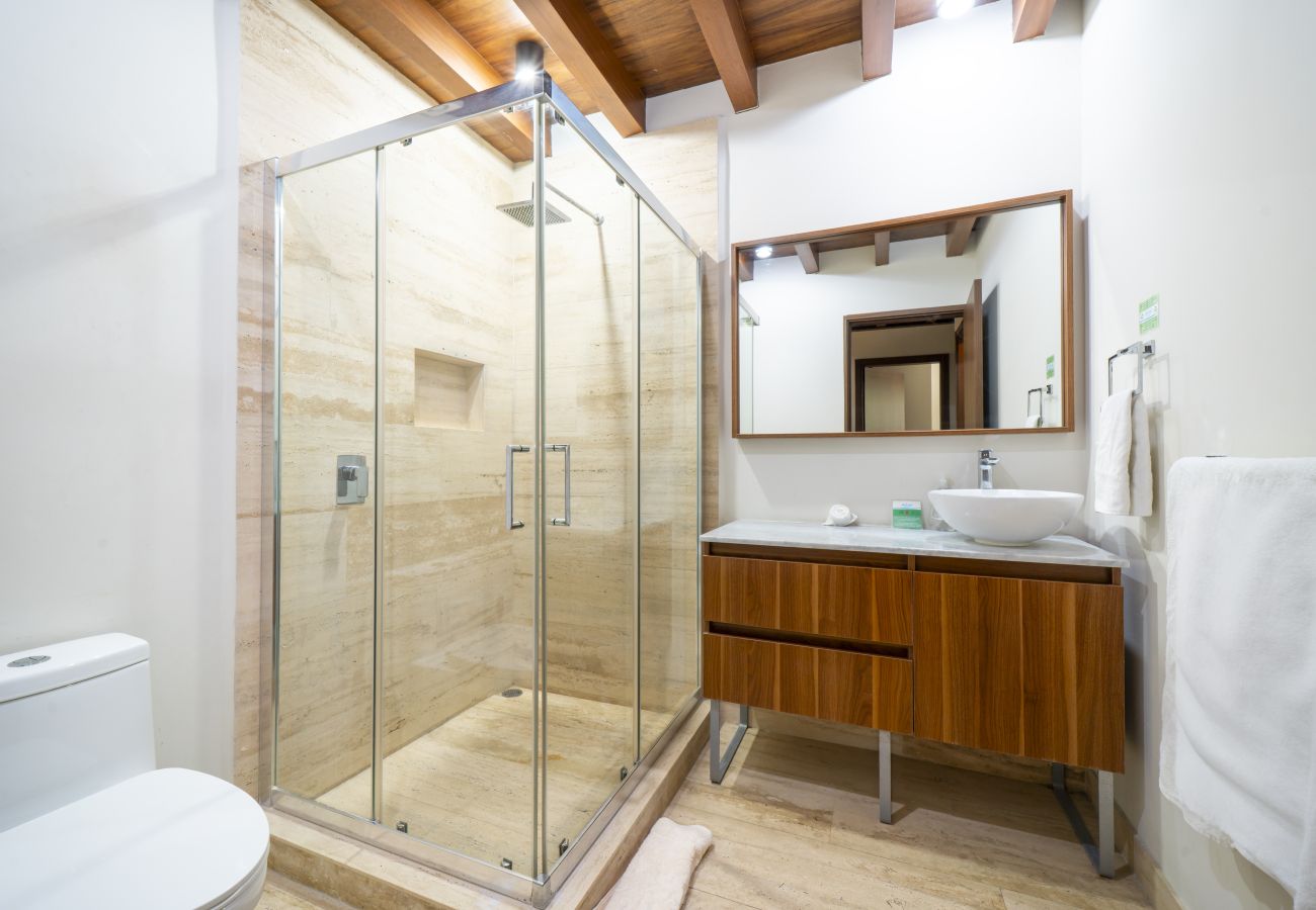 Condominium in Playa del Carmen - Anahuac 110