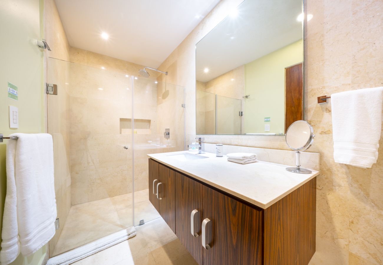 Apartment in Playa del Carmen - Terrazas #309