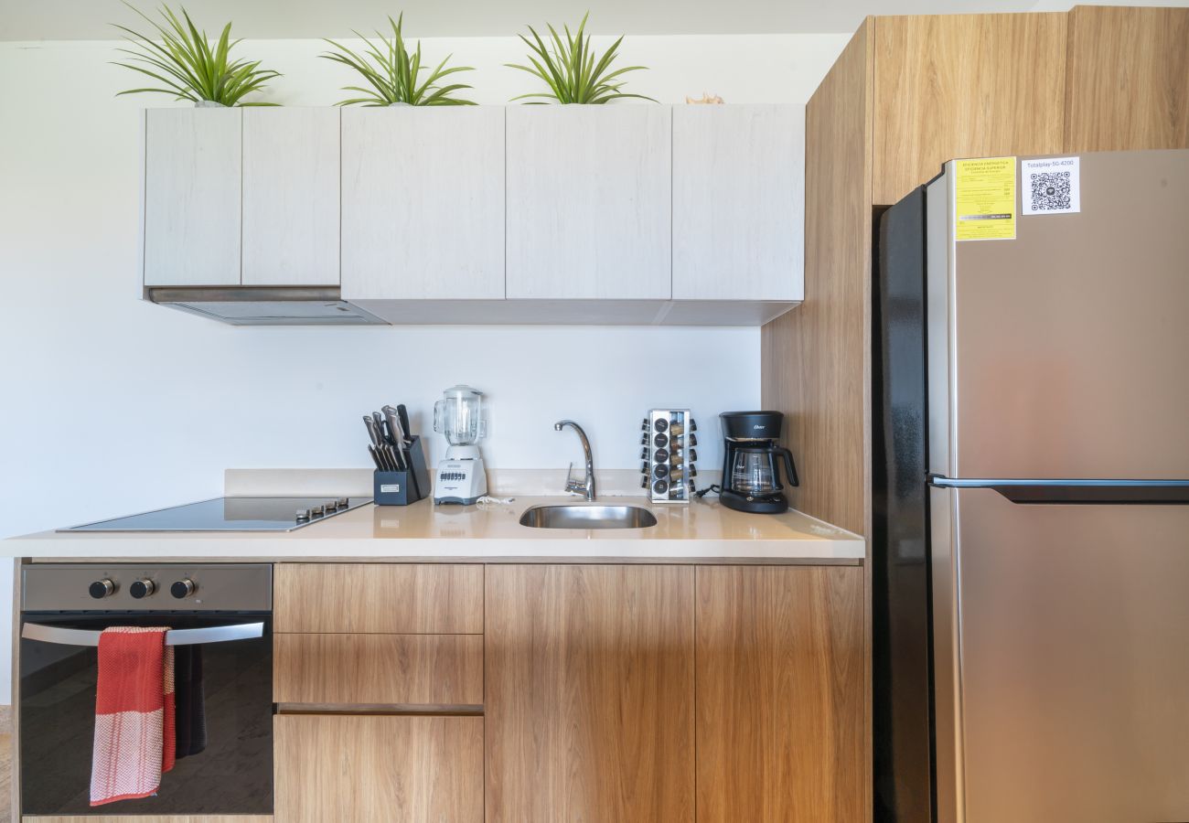 Apartment in Playa del Carmen - Ipanema C504
